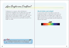 Load image into Gallery viewer, Fireflies Book
