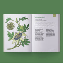 Load image into Gallery viewer, Little Encyclopedia Of Herbal Medicine