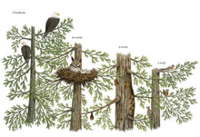 Load image into Gallery viewer, When a Tree Falls