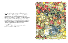 Load image into Gallery viewer, Autumn Story Jill Barklem
