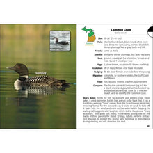 Load image into Gallery viewer, Birds of Michigan