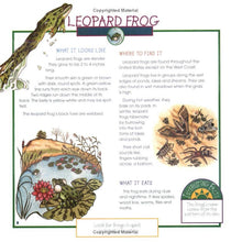 Load image into Gallery viewer, Frogs, Toads & Turtles