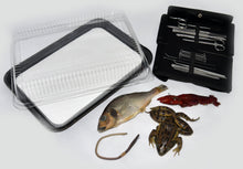 Load image into Gallery viewer, Dissecting Lab w/ Specimens for Apologia Biology Eps Pad