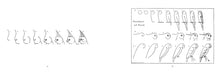 Load image into Gallery viewer, What to Draw and How to Draw It
