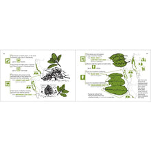 Load image into Gallery viewer, Pacific Coast Tree Finder