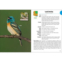 Load image into Gallery viewer, Birds of Arizona