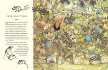 Load image into Gallery viewer, Visit To Brambly Hedge A Jill Barklem