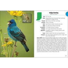 Load image into Gallery viewer, Birds of Indiana