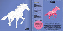 Load image into Gallery viewer, Horses Sticker Paintings