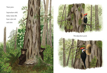 Load image into Gallery viewer, When a Tree Falls