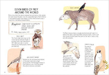 Load image into Gallery viewer, Bird Anatomy: Trade Paperback