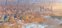 Load image into Gallery viewer, Pond