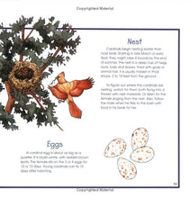 Load image into Gallery viewer, Birds, Nests & Eggs