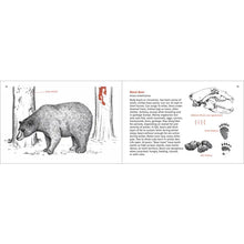 Load image into Gallery viewer, Mammals Finder - Pacific