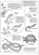 Load image into Gallery viewer, First Book About Backyard Nature
