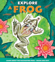 Load image into Gallery viewer, Explore A Frog