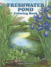 Load image into Gallery viewer, Pond Exploration Kit