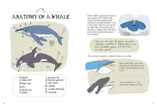 Load image into Gallery viewer, Ocean Anatomy