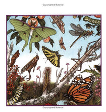 Load image into Gallery viewer, Caterpillars, Bugs and Butterflies