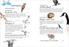 Load image into Gallery viewer, Bird Anatomy: Trade Paperback