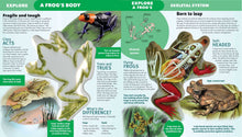 Load image into Gallery viewer, Explore A Frog