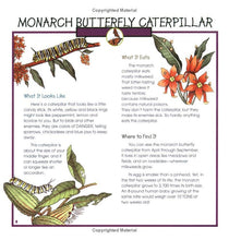 Load image into Gallery viewer, Caterpillars, Bugs and Butterflies