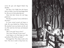 Load image into Gallery viewer, A Little House Chapter Book Collection Stories Of Adventure
