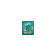 Load image into Gallery viewer, DK Children Anthology of Intriguing Animals: Animal Kingdom Truths (Hardcover)