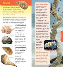 Load image into Gallery viewer, Into The Field Guide Beach Walk