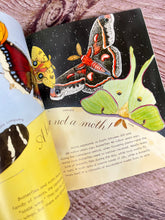 Load image into Gallery viewer, A Butterfly is Patient
