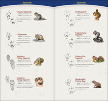 Load image into Gallery viewer, Animal Tracks of the Midwest Quickguide