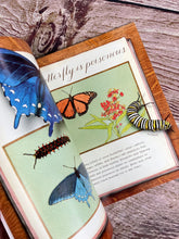 Load image into Gallery viewer, A Butterfly is Patient