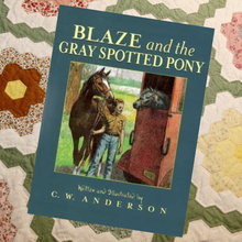 Load image into Gallery viewer, Blaze & the Gray Spotted Pony