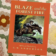 Load image into Gallery viewer, Blaze and the Forest Fire