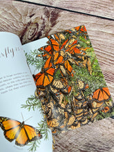 Load image into Gallery viewer, A Butterfly is Patient