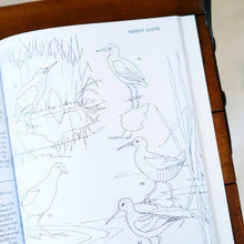 Load image into Gallery viewer, Birds Field Guide c.b.