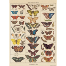 Load image into Gallery viewer, Butterfly Natural History Vintage Poster