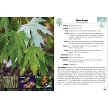 Load image into Gallery viewer, Trees of Indiana