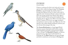 Load image into Gallery viewer, Bird Families