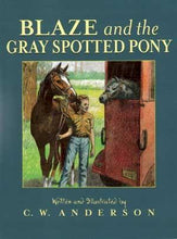 Load image into Gallery viewer, Blaze & the Gray Spotted Pony