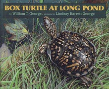 Load image into Gallery viewer, Box Turtle at Long Pond Bundle!