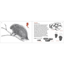 Load image into Gallery viewer, Mammals Finder - Pacific