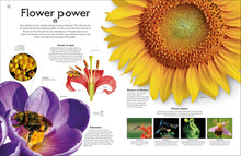 Load image into Gallery viewer, Shapes Of Nature