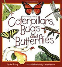 Load image into Gallery viewer, Caterpillars, Bugs and Butterflies