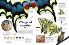 Load image into Gallery viewer, Shapes Of Nature