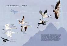 Load image into Gallery viewer, Bird Anatomy: Trade Paperback