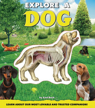 Load image into Gallery viewer, Explore A Dog