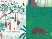 Load image into Gallery viewer, Over and Under the Rainforest