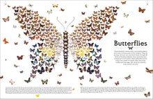 Load image into Gallery viewer, Shapes Of Nature