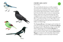 Load image into Gallery viewer, Bird Families